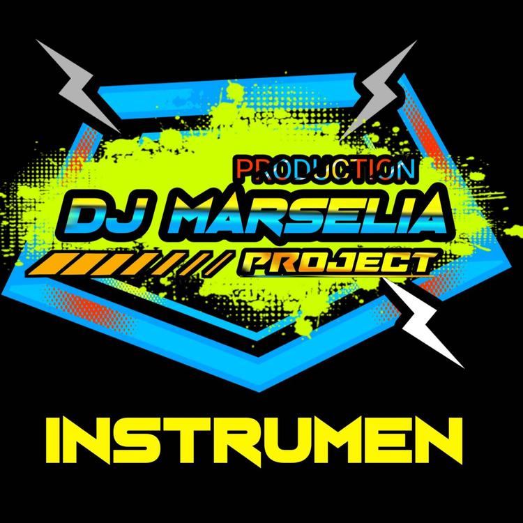 DJ MARSELIA PROJECT PRODUCTION's avatar image