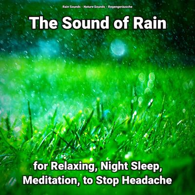 The Sound of Rain for Relaxing and Night Sleep Pt. 27 By Rain Sounds, Nature Sounds, Regengeräusche's cover