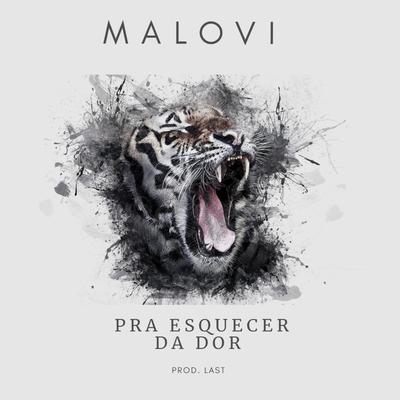 Pra Esquecer da Dor By Malovi's cover