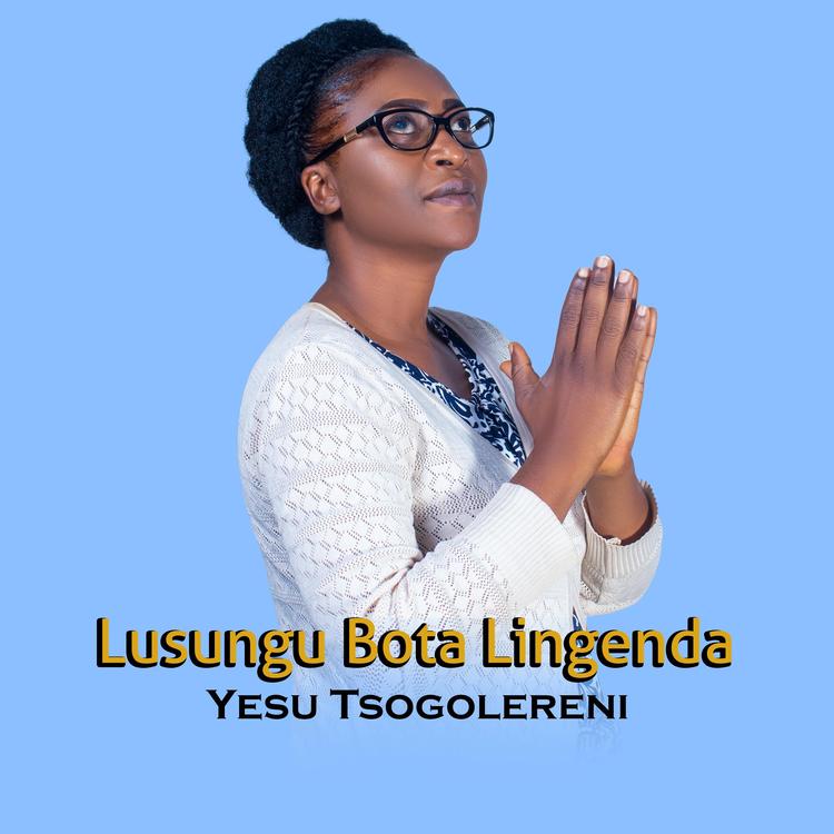 Lusungu Bota Lingenda's avatar image