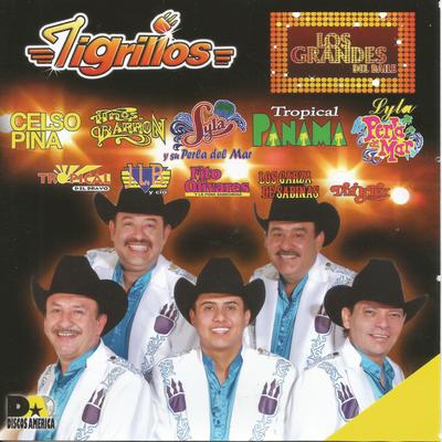 Los Grandes del Baile's cover