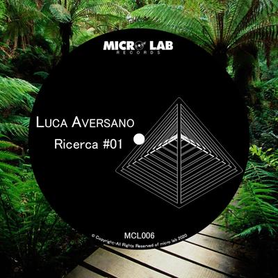 Ricerca 01's cover