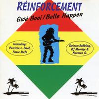 Reinforcement's avatar cover