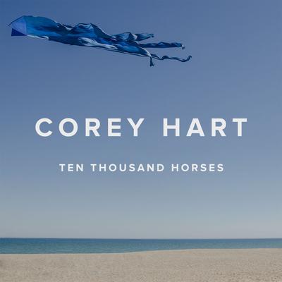 Ten Thousand Horses's cover