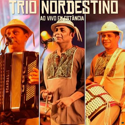 Procurando Tú (Ao Vivo) By Trio Nordestino's cover