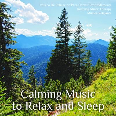 Calming Music to Relax and Sleep's cover