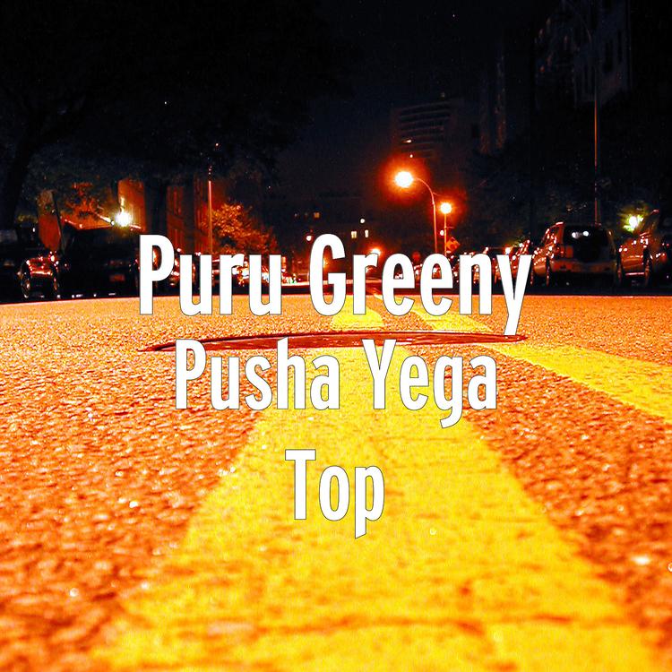 Puru Greeny's avatar image