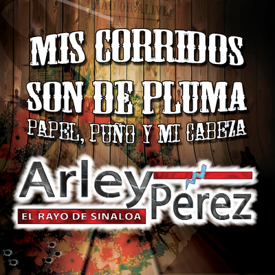 Mis Corridos Son De Pluma, Papel, Puño Y Mi Cabeza's cover