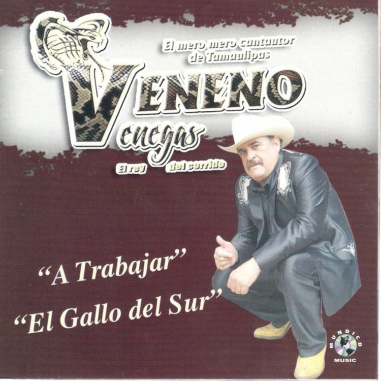 Veneno Venegas's avatar image