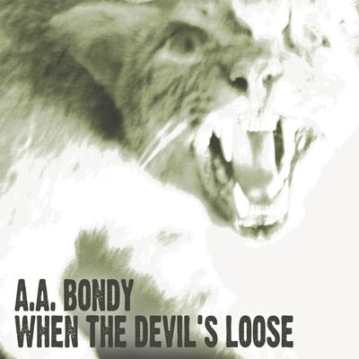 A Slow Parade By A.A. Bondy's cover