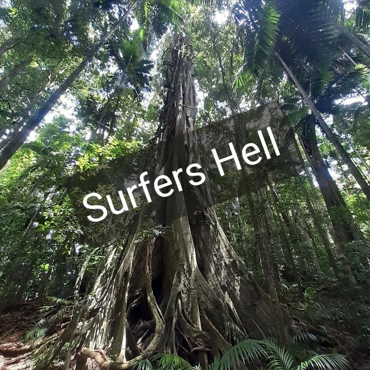 Surfers Hell's avatar image