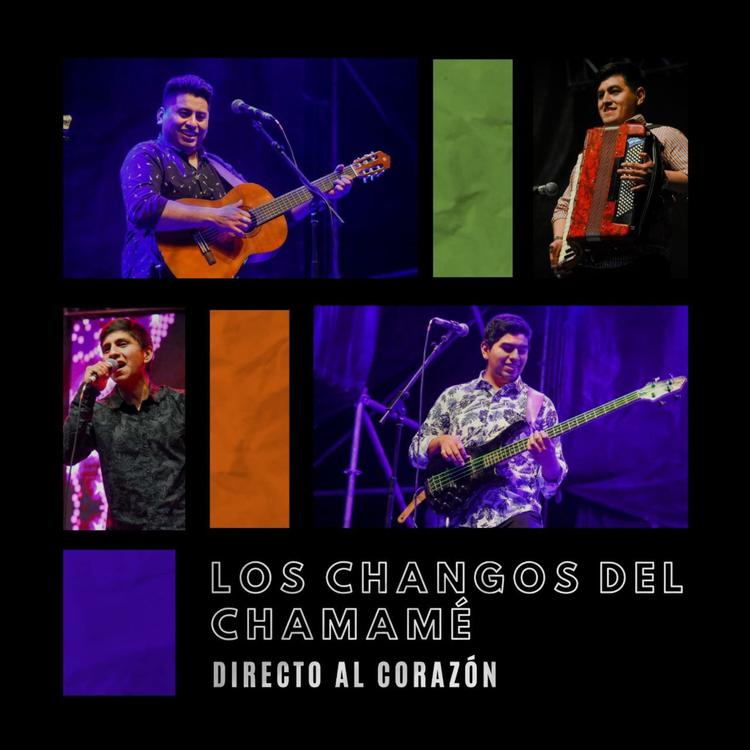 Los changos del chamamé's avatar image