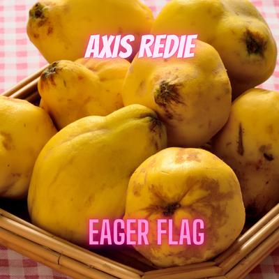 Eager Flag's cover