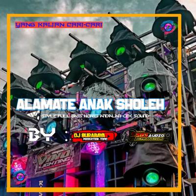 DJ ALAMAT E ANAK SHOLEH 's cover
