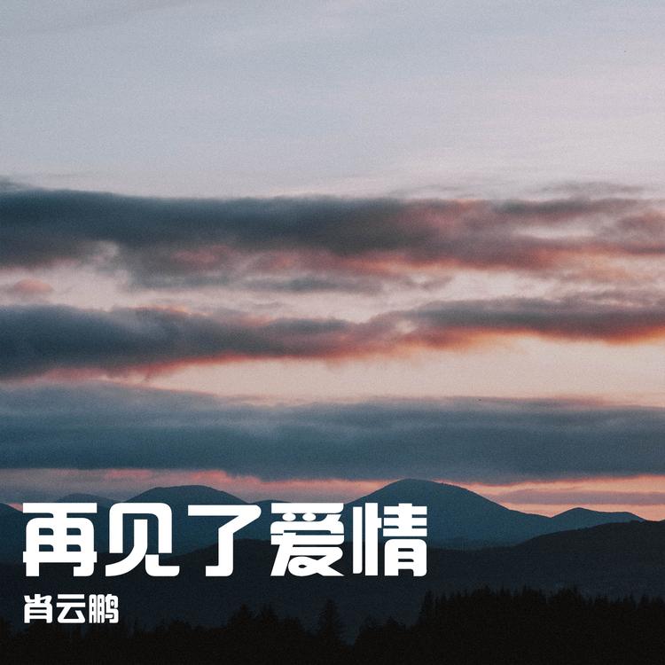 肖云鹏's avatar image