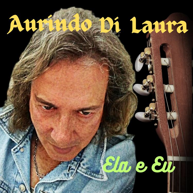 Aurindo Di Laura's avatar image