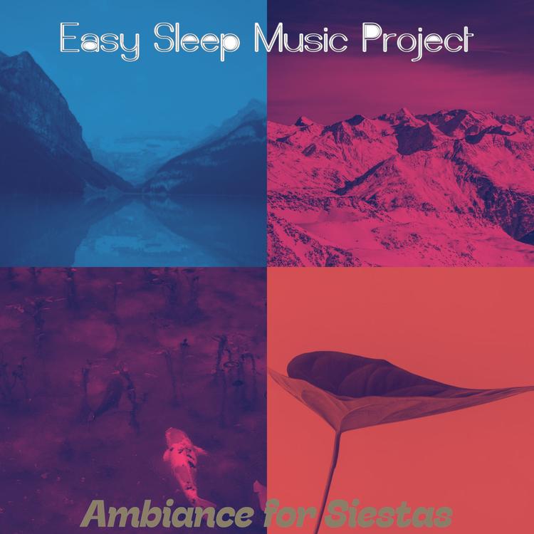 Easy Sleep Music Project's avatar image