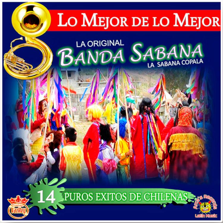 La Original Banda Sabana's avatar image