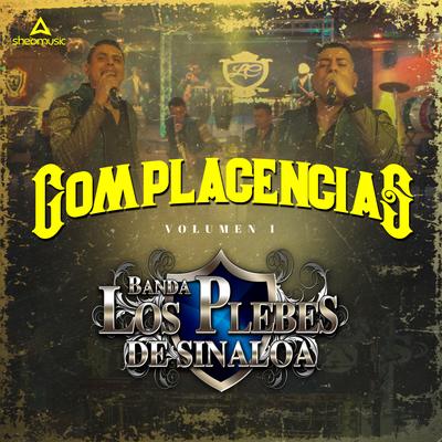 Banda Los Plebes De Sinaloa's cover