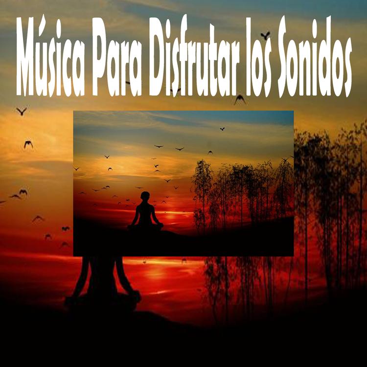 Musica Para Sonidos's avatar image