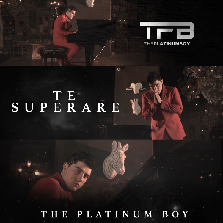 The Platinum Boy's avatar image