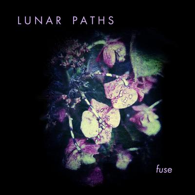 Rise By Lunar Paths's cover