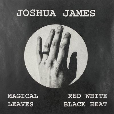 Silent Night By Joshua James's cover