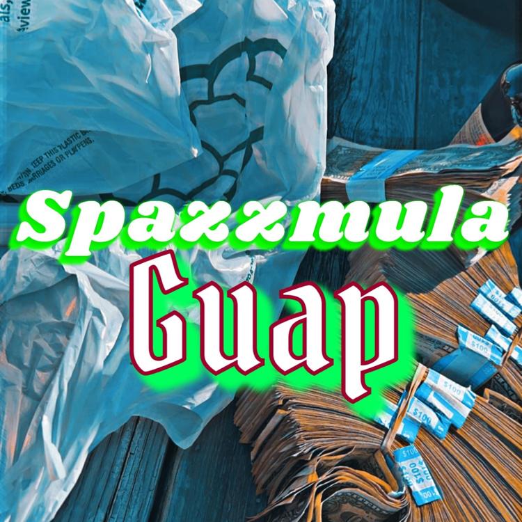 SpazzMula's avatar image