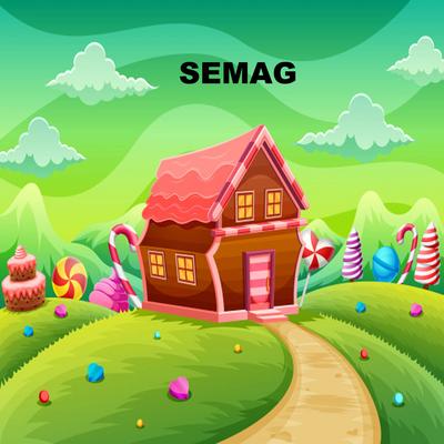 SEMAG's cover
