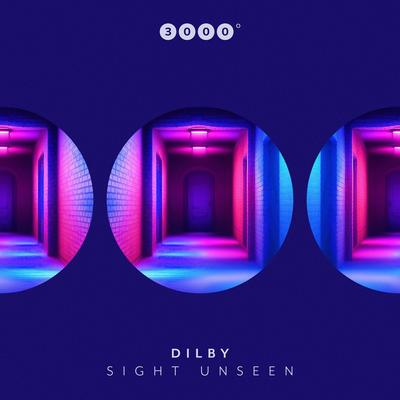 Sight Unseen By Dilby's cover