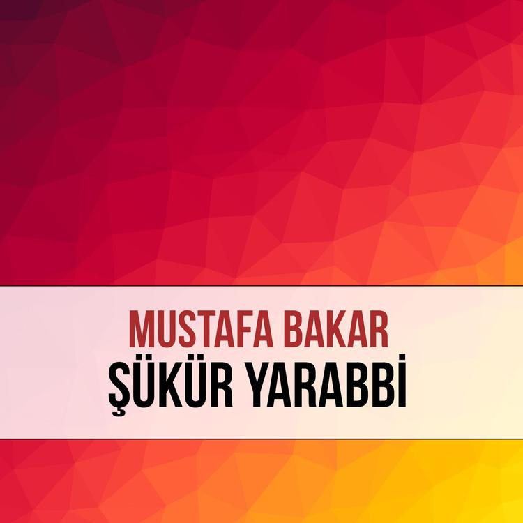 Mustafa Bakar's avatar image