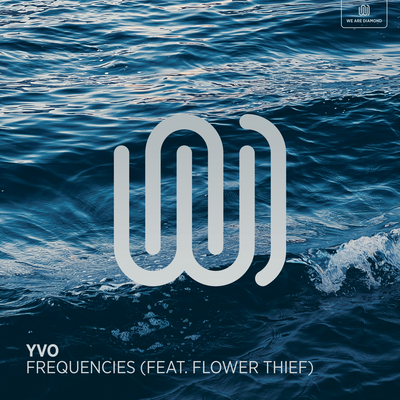 Frequencies By YVO, Flower Thief's cover