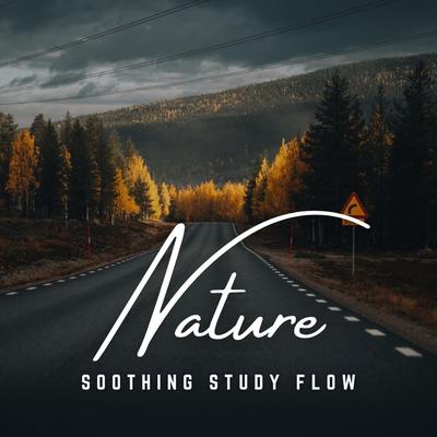 Soothing Study Flow: Ambient Calm's cover