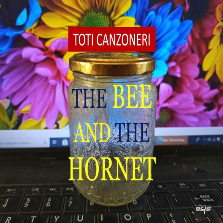 Toti Canzoneri's avatar image