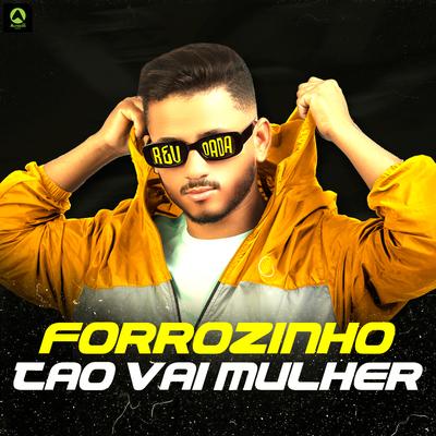 Forrózinho Tão Vai Mulher By djmelk, Alysson CDs Oficial's cover