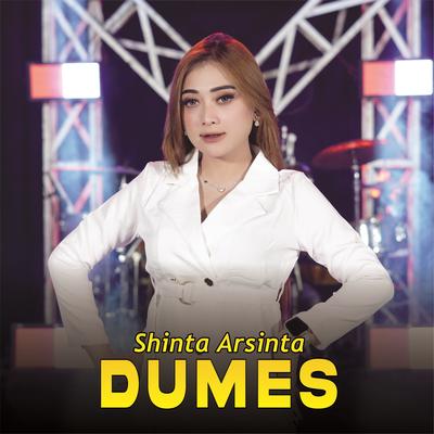 Dumes By Shinta Arsinta's cover