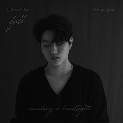 Fall By Kim Ye Joon's cover