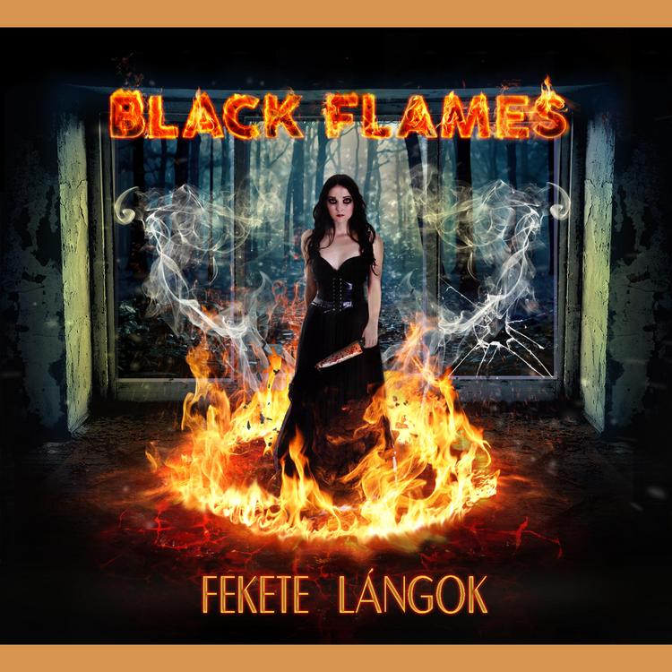 Black Flames's avatar image