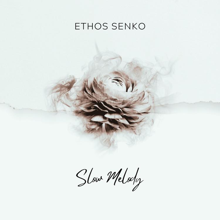 Ethos Senko's avatar image