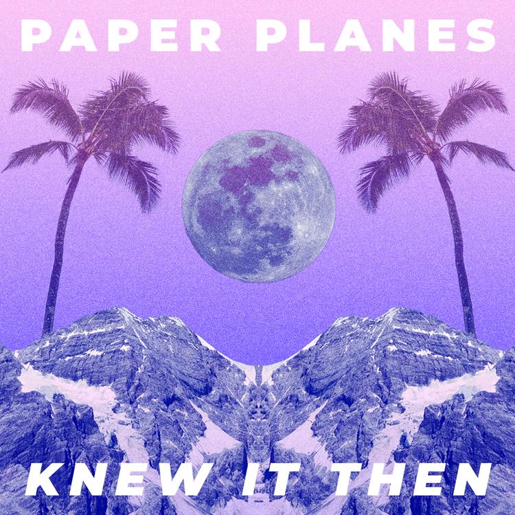 Paper Planes's avatar image