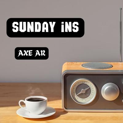 sunday ins's cover