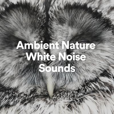 Ambient Nature White Noise's cover