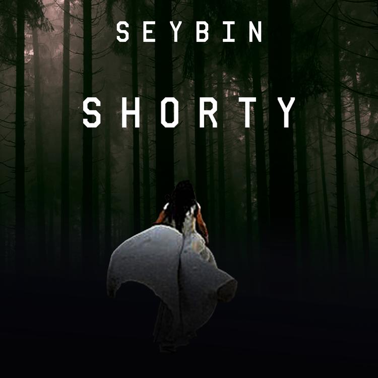 Seybin's avatar image