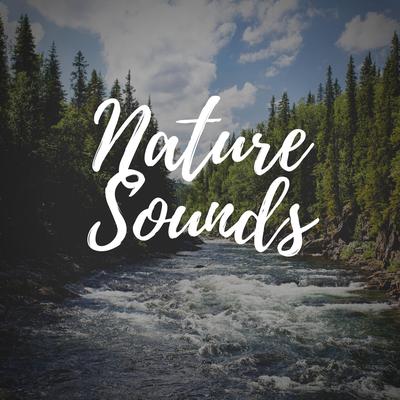 Suara Air Sungai Pegunungan's cover