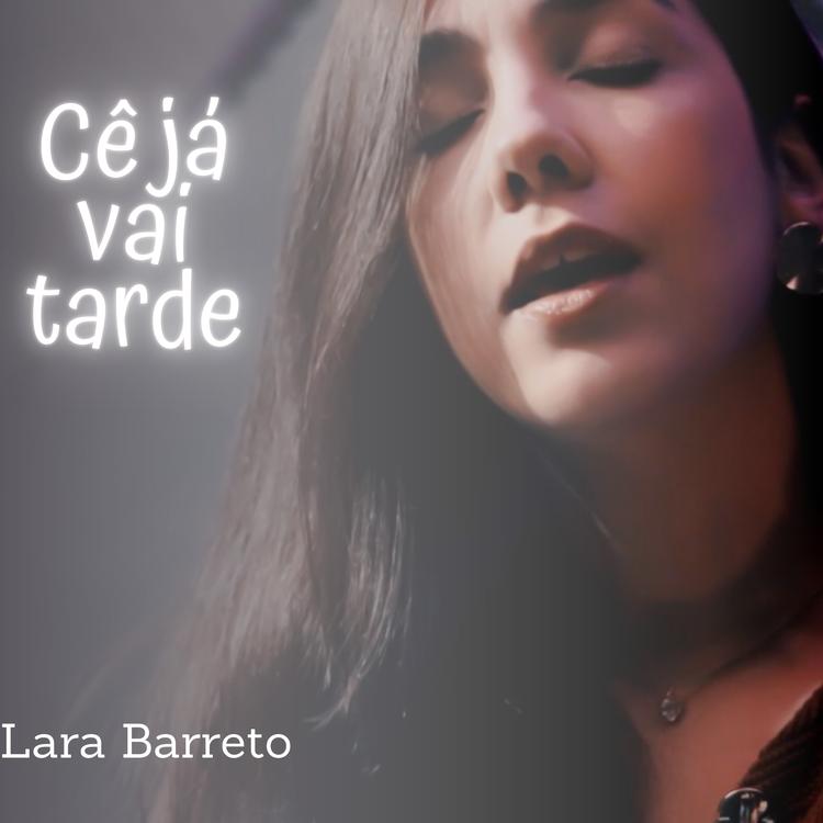 Lara Barreto's avatar image