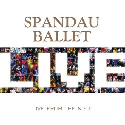 True (Live from the N.E.C.) By Spandau Ballet's cover