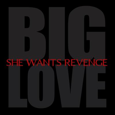 Big Love By She Wants Revenge's cover