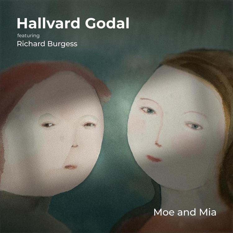 Hallvard Godal's avatar image