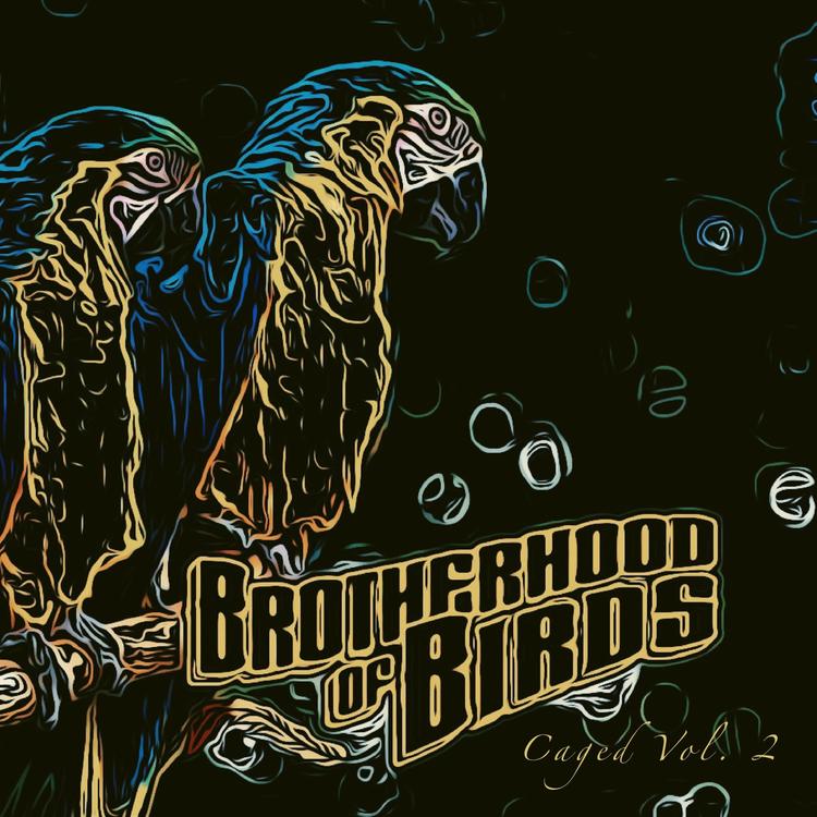 Brotherhood of Birds's avatar image