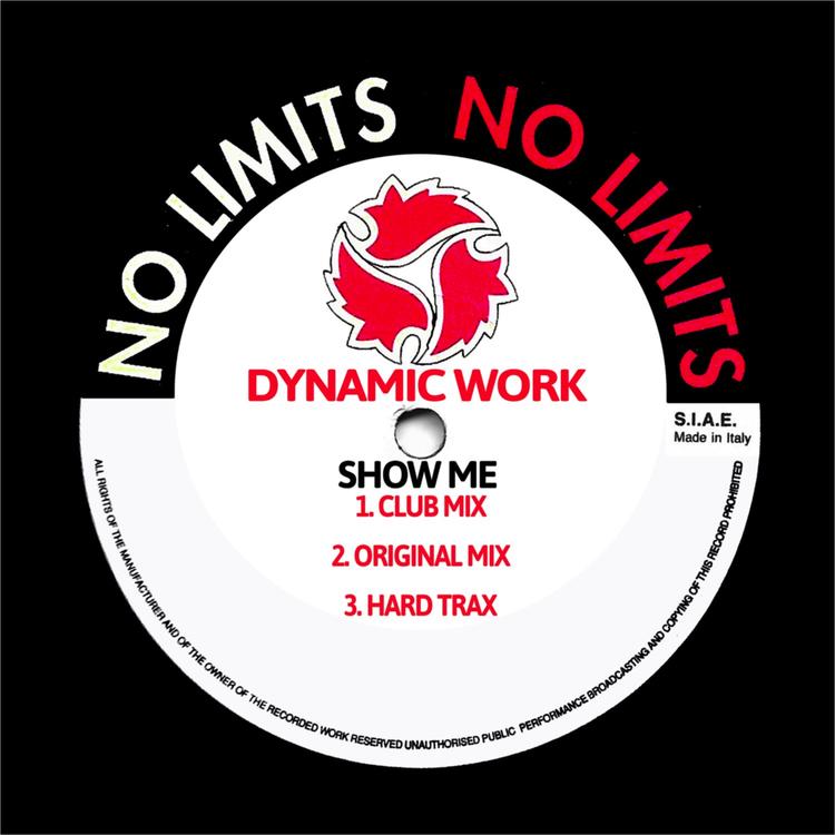 Dynamic Work's avatar image